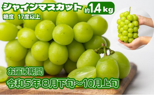 シャインマスカット 約1.4kg 旬な果実 採れたて ぶどう - 香川県