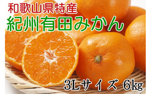 秀品]和歌山有田みかん6kg(3Lサイズ) ※2024年11月中旬～2025年1月中旬