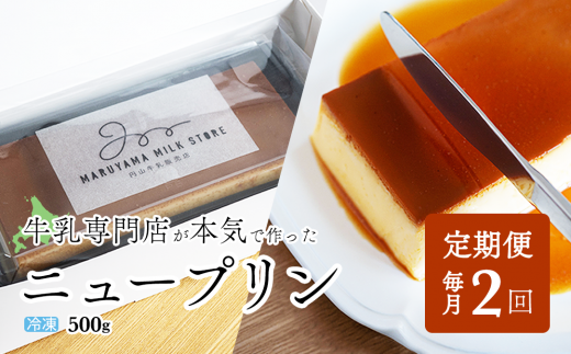 定期便】濃厚プリン New Pudding（ニュープディング）（500g×1本）×2 
