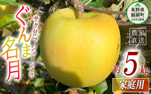 りんご ぐんま名月 家庭用 5kg ファームトヤ 沖縄県への配送不可 2024年11月中旬頃から2024年12月下旬頃まで順次発送予定  令和6年度収穫分 信州 果物 フルーツ リンゴ 林檎 名月 長野 14500円 予約 農家直送 長野県 飯綱町 [1424] - 長野県飯綱町｜ふるさとチョイス  ...