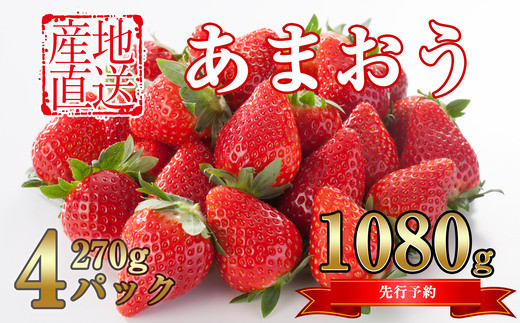 令和6年発送 先行予約】 産地直送 福岡県産 いちご あまおう 4