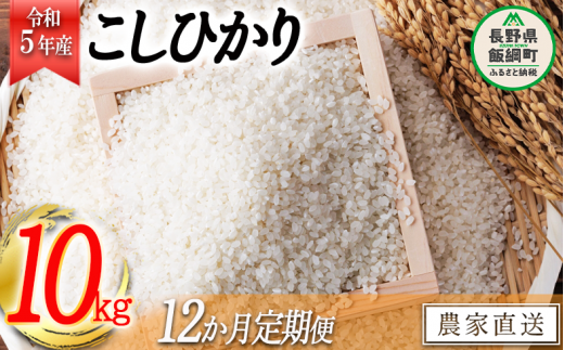 米 こしひかり 10kg × 12回 【 12か月 定期便 】( 令和5年産