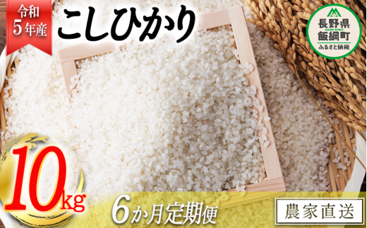 米 こしひかり 5kg × 6回 【 6か月 定期便 】( 令和5年産 ) ヤマハチ