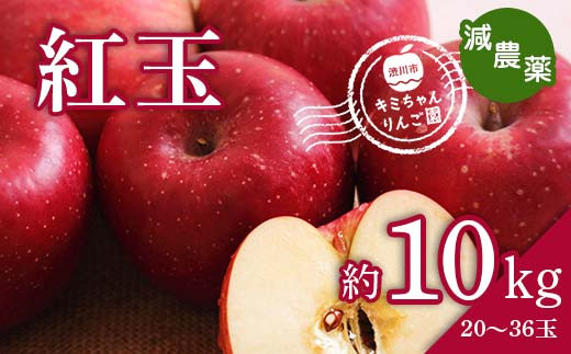 在庫あ新作青森県無農薬紅玉りんご10キロ送料無料 果物