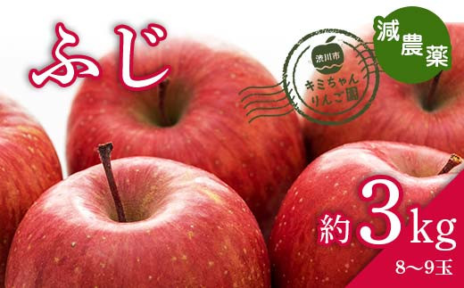 2023年秋発送 減農薬 りんご ふじ 約3kg （8～9玉） 甘い リンゴ 果物 お取り寄せ 贈答品 ギフト F4H-0144