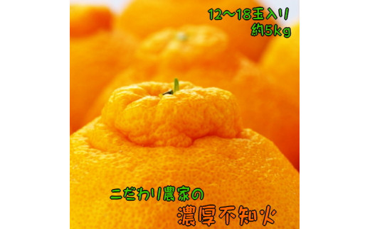 ya̎Rlzys\z_Ƃ̔Zsm΁ifR|Ɠij 12`18ʁi5kgj2026N2{`3{ɏ\ kCEEւ̔zs