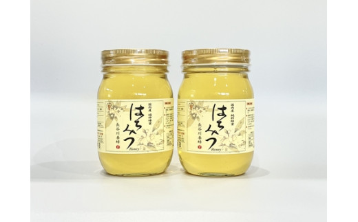 国産 はちみつ アカシア 500ｇ×2本入り セット ／ 長谷川養蜂 希少 ハチミツ 蜂蜜 三重県 南伊勢町 伊勢志摩