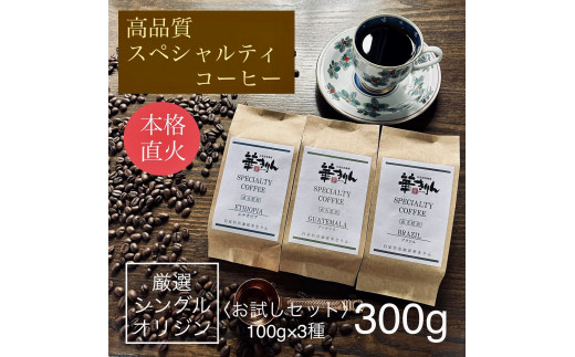 華きりん】高品質スペシャルティコーヒー豆 厳選シングルオリジン お試しセット100g×3種類（合計300g） 岐阜県大垣市｜ふるさとチョイス  ふるさと納税サイト