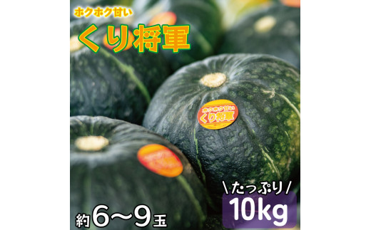 かぼちゃ 10kg くり将軍 6~9玉 野菜 カボチャ 南瓜 10キロ 1万円 10000円 旬 令和5年産 2023年産 阿波市 徳島県