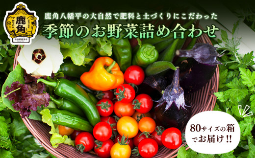 秋田県産、新鮮野菜詰め合わせ