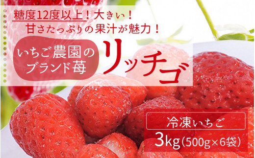 いちご農園のブランド苺【リッチゴ】(冷凍いちご×3kg) - 福井県高浜町｜ふるさとチョイス - ふるさと納税サイト