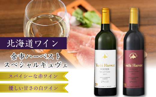 ふるさと納税 余市町 北海道ワイン 2種 飲み比べセット_Y020-0437