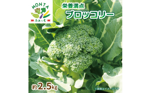 野菜 ブロッコリー 約 2.5kg 朝どれ 産地直送 栄養満点 ビタミン豊富 徳島県 阿波市