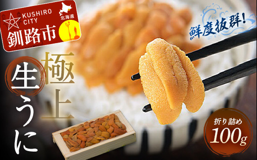 鮮度抜群！極上生ウニ】生うに折100g ふるさと納税 うに 生うに 新鮮