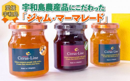 ジャム マーマレード 詰め合わせ 130g ×3個 Citrus-Line 食べ比べ