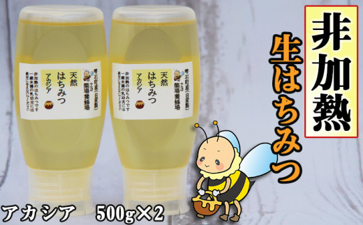 簗場養蜂場「天然はちみつ」アカシア 500g×2【国産蜂蜜】 ／ はちみつ