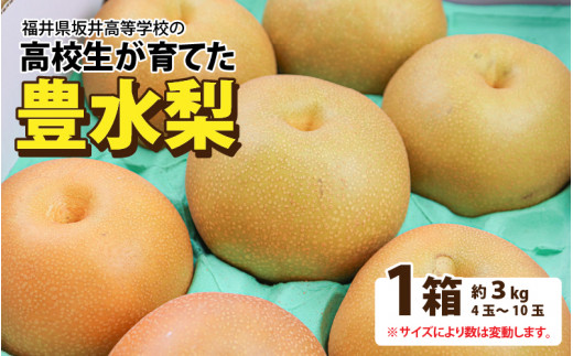 【先行予約】＜2023年8月下旬以降発送＞豊水梨 3kg 果肉は柔らかで多汁！《大人気返礼品！高校生 応援！》　／ 果物 フルーツ 梨 数量限定