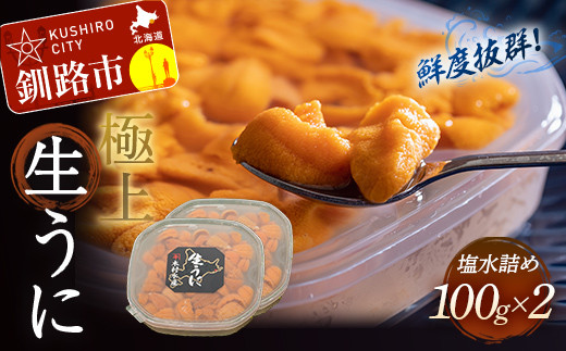 【鮮度抜群！極上生えぞバフンうに】生うに塩水詰め100g×2