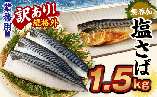 訳あり規格外】 業務用無添加塩さば 1.5kg 鯖 さば 塩サバ 干物 魚