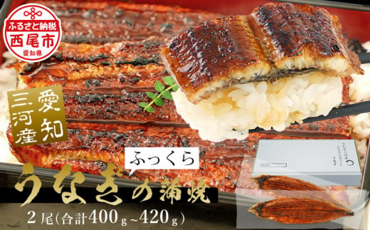 三河産超特大 うなぎ蒲焼 2尾(合計約400g～420g) 国産 西尾市 国産うなぎ 蒲焼き 鰻 ウナギ たれ付き 山椒付き 惣菜 愛知養魚 海鮮  ≪冷凍≫ A090-18