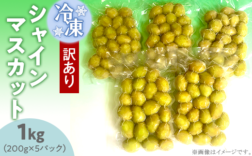 訳あり】冷凍シャインマスカット1kg（200g×5パック）【TV等で話題の凍