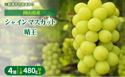 ぶどう 2024年 先行予約 シャイン マスカット 晴王 4房（1房480g以上）約2kg マスカット 岡山県産 国産 フルーツ 果物 ギフト  [№5735-1480]