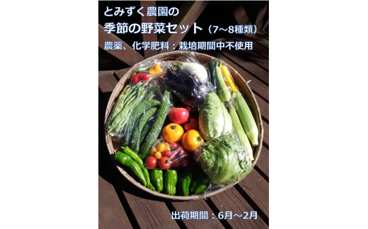 とみずく農園の季節の野菜セット／無農薬 高原野菜 旬 新鮮 詰合せ