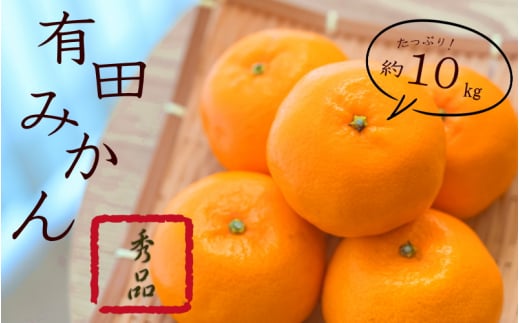 【和歌山県古座川町】紀州有田みかん 秀品 約10kgサイズおまかせ(L・М・S)【sml109B】