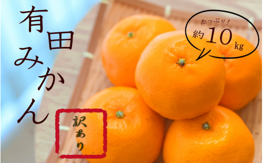 【和歌山県古座川町】紀州有田みかん 約10kg 訳あり 訳あり キズ 御家庭用 サイズ混合 【sml110C】
