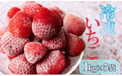 予約受付】冷凍イチゴ5kg（2020年第31回静岡県いちご果実品評会入賞