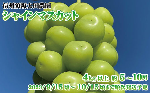 No.5657-2627]【極上】シャインマスカット4kg以上（約5～10房）《株式