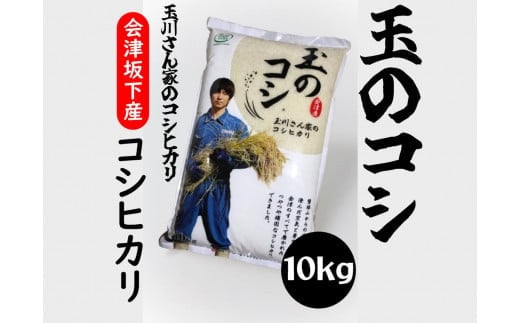 36-A （株）T.Farming　玉のコシ（玉川さんちのコシヒカリ）（令和5年産米）会津坂下産コシヒカリ　 白米10kg×1袋※沖縄・離島への配送不可※2023年10月中旬頃より順次発送予定