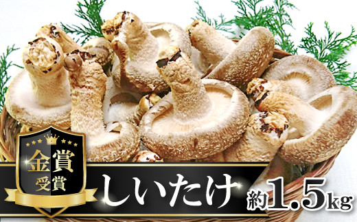 菌床しいたけ かご入り【椎茸 約1.5kg 15~20個入り かご入り 野菜