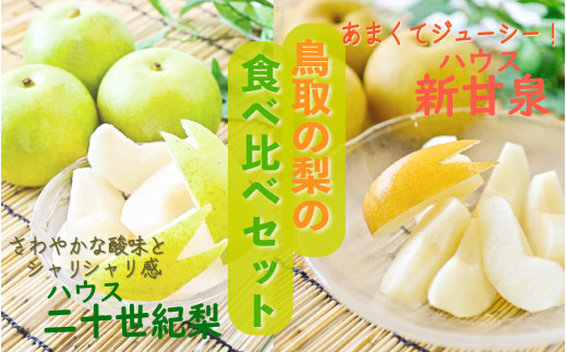 ハウス新甘泉とハウス二十世紀梨の食べ比べセット【鳥取県産】３ｋｇ