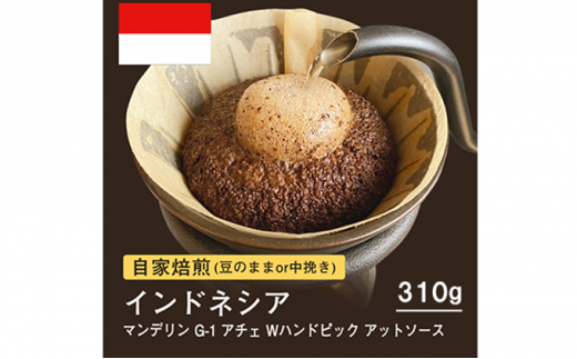 自家焙煎コーヒー！310g マンデリン G-1 アチェ Wハンドピック アットソース【豆】珈琲