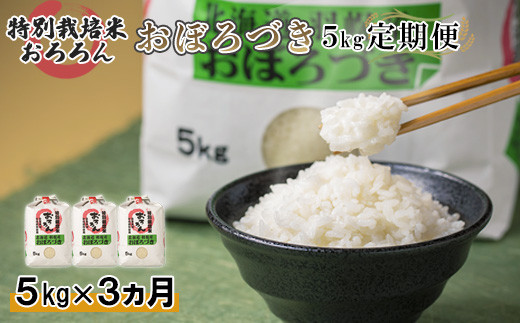 サンプル写真