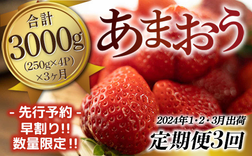 TY034 福岡県産 あまおうG以上（4パック） 定期便3回 合計3000ｇ 先行