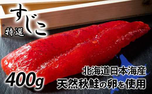 サンプル写真