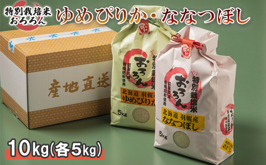 サンプル写真