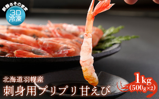 サンプル写真