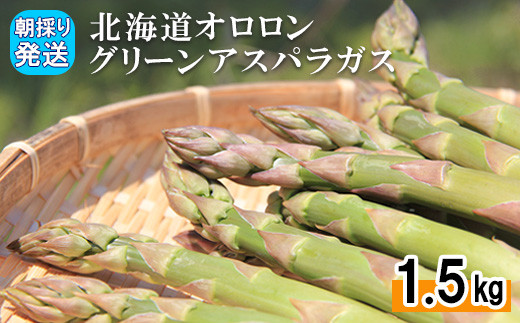 サンプル写真