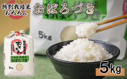 北海道羽幌産 特別栽培米おぼろづき5kg【08003】 - 北海道羽幌町