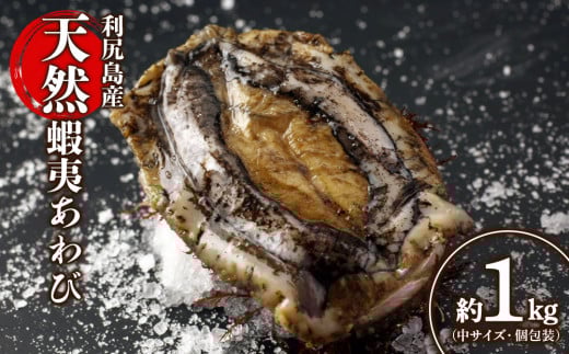 ykCKxmzkC KY VRڈ΂ Pi80g`100gTCYjKƋg kC   hg