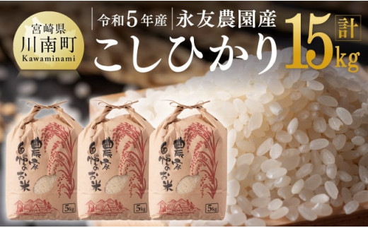 6ヶ月定期便】令和5年産 無洗米こしひかり 5kg【 全6回 宮崎県産 九州