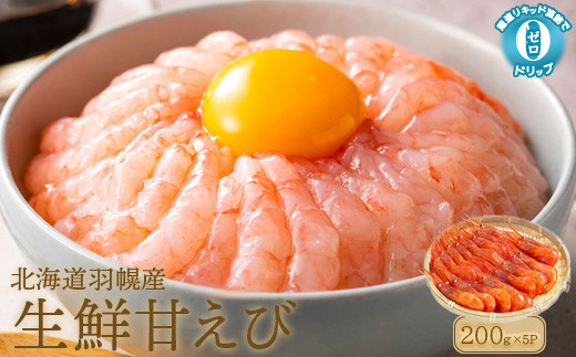 サンプル写真