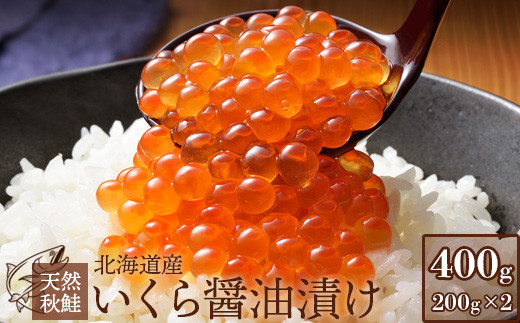 サンプル写真