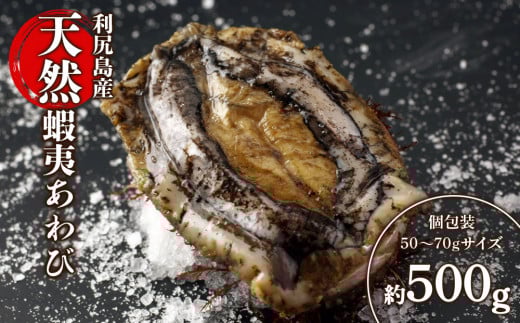 ykCKxmzVRڈ΂ 500gi50g`70gTCYjKƋg