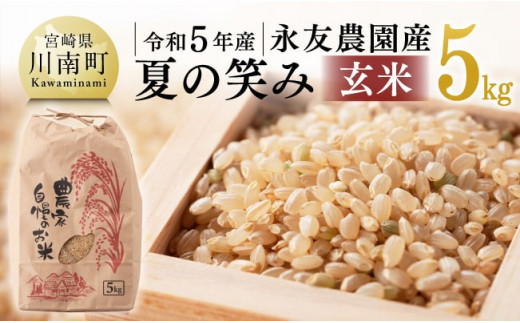 販売終了！令和5年 宮崎県産 新米 玄米20キロ 夏の笑み - 米・雑穀・粉類