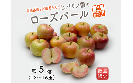 りんご 青森 ローズパール リンゴ 約 5kg (12～16玉) 青森県 鰺ヶ沢町