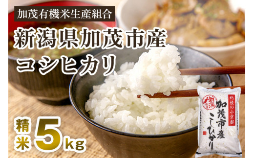 【令和5年産新米】新潟県加茂市産コシヒカリ 精米5kg 白米 加茂有機米生産組合